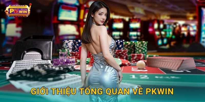 Giới Thiệu Tổng Quan Về Pkwin